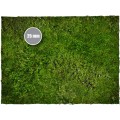 Terrain Mat PVC - Grass - 120x120 1