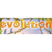 Evolution VF - Extension Cartes