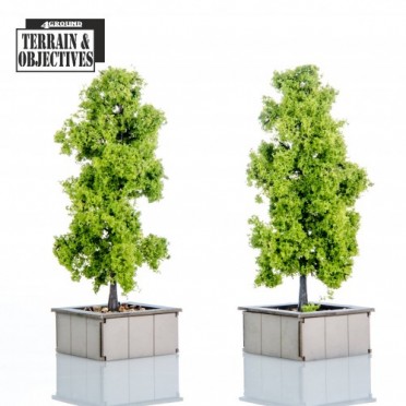 Shopping Mall: Planters with Trees