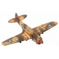 P-40 Warhawk Fighter Flight 2