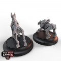 Wild West Exodus - Confederate Rebellion Posse 9