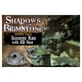 Shadows of Brimstone - Scourge Rats - Rats Nest Enemy Set 0