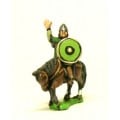 Dark Age: Heavy Cavalry ibn mail with assorted weapons & round shield 0