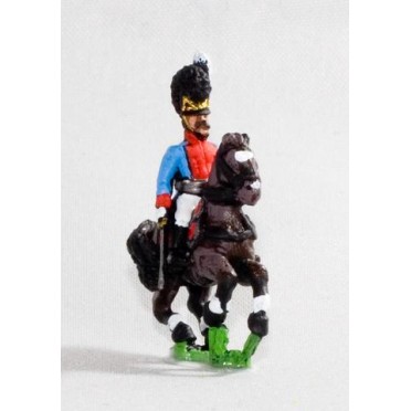 Bavarian 1805-14: Command: Mounted Infantry Officer