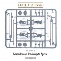 Hail Caesar - Macedonians: Phalangites 4