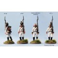 Napoleonic  Austrian 'German' Infantry 1