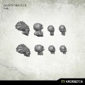 Alien Skulls 1