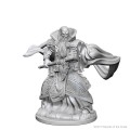 Dungeons & Dragons Nolzur’s Marvelous Miniatures - Human Male Wizard 1