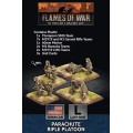 Flames of War - Parachute Rifle platoon 0