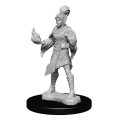 Pathfinder Battles - Elf Female Sorcerer 4