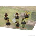 Dungeons & Dragons - Icons of the Realms : 7 Miniatures Epic Level Starter 6