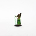 D&D Icons of the Realms Premium Figures - Human Female Druid 2