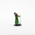 D&D Icons of the Realms Premium Figures - Human Female Druid 3