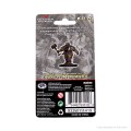 D&D Icons of the Realms Premium Figures - Dwarf Male Fighter 1