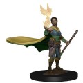 D&D Icons of the Realms Premium Figures - Elf Female Druid 2