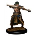 Pathfinder Battles Premium Painted Figures - Half-Elf Ranger Male 2