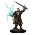 Pathfinder Battles Premium Painted Figures -Human Cleric Male 2