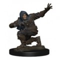 Pathfinder Battles Premium Painted Figures - Human Rogue Male 2
