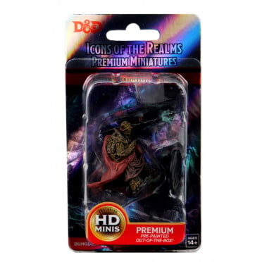 D&D Icons of the Realms Premium Figures - Male Tortle Monk