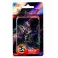 D&D Icons of the Realms Premium Figures - Male Human Fighter 0