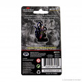 D&D Icons of the Realms Premium Figures - Female Human Warlock Fig 1