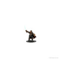 D&D Icons of the Realms Premium Figures - Half-Orc Fighter Female 2