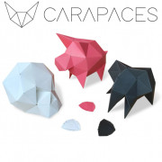 Carapaces By Doug : Rose