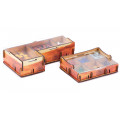 Storage for Box E-Raptor - Terraforming Mars with all expansions UV Print 4