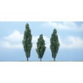 Woodland Scenics - 3x Poplars 0