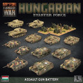 Flames of War - Hungarian Starter Force : Zrinyi Assault Gun Battery 0