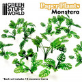 Plantes en Papier - Monstera 0