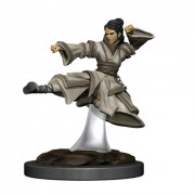 D&D Icons of the Realms Premium Figures - Human Female Monk
