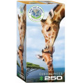 Puzzle -Les Girafes - 250 Pièces 0