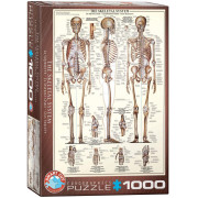 Puzzle 1000 pièces - Le Squelette