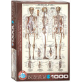 Puzzle 1000 pièces - Le Squelette 0