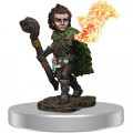 Pathfinder Battles Premium Painted Figure - Male Gnome Druid 0