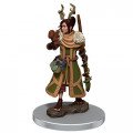 D&D Icons of the Realms Premium Figures - Female Human Druid 0
