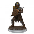D&D Icons of the Realms Premium Figures - Male Human Fighter 0