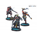 Infinity - Dire Foes Mission Pack 10: Slave Trophy 0