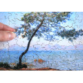 Puzzle - Monet - Cap d'Antibes - 80 Pièces 1