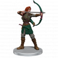 Magic the Gathering Premium Painted Figure: Adventures in the Forgotten Realms - Companions of the Hall 1