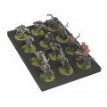 Tray for cavalry miniatures (GOT) 2
