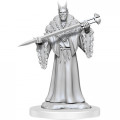 Magic the Gathering Deep Cuts Unpainted Miniatures: Lord Xander the Collector 0
