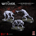 The Witcher RPG: Necrophages 2 - Ghouls 0
