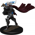 Pathfinder Battles Premium Painted Figure - Half-Elf Ranger Female 0