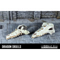 7TV - Dragon Skulls 0