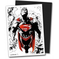 100 Dragon Shield Dual Matte - Superman Core Noir et Blanc 1