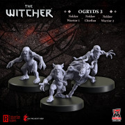 The Witcher RPG: Ogryds 3 - Nekker Warriors