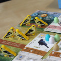 Wingspan - Wooden Bird-shaped Player Tokens and Stickers set 13