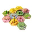 Irrigation Channels - Takenoko Compatible Upgrade 3